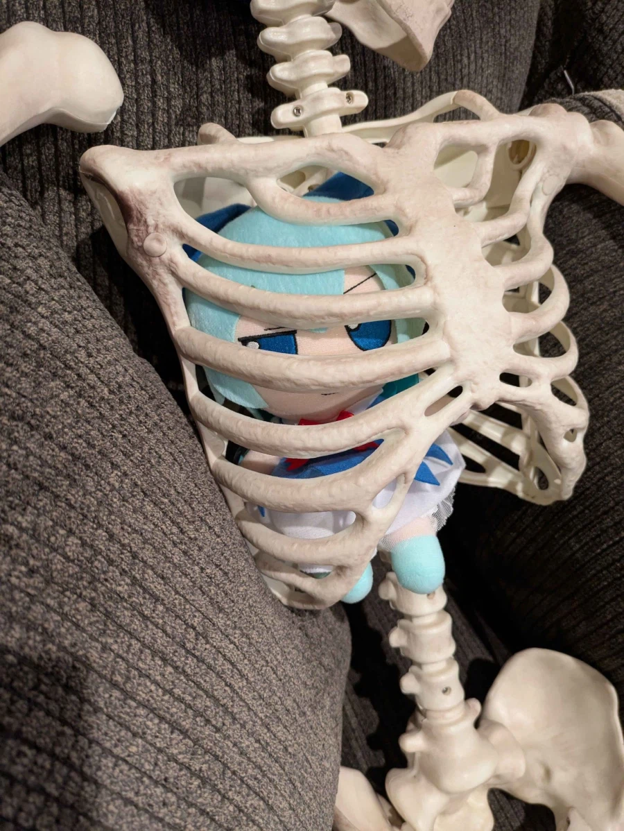 동방) 가슴속에 치르노를 품다_1.webp