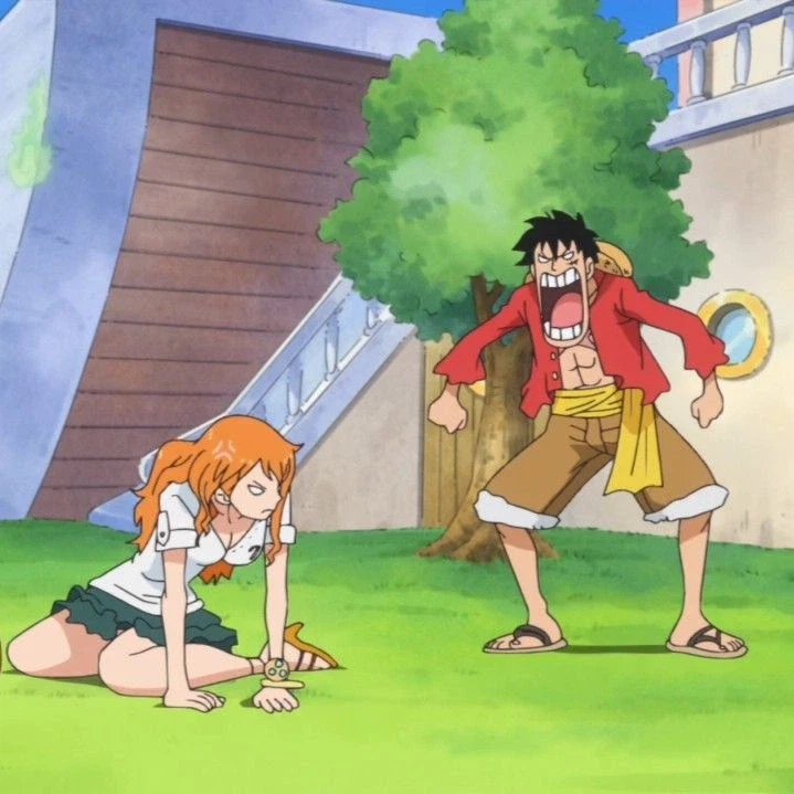 원피스) 루피가 나미한테 어떤 존재인지 완벽하게 요약하기_2.webp