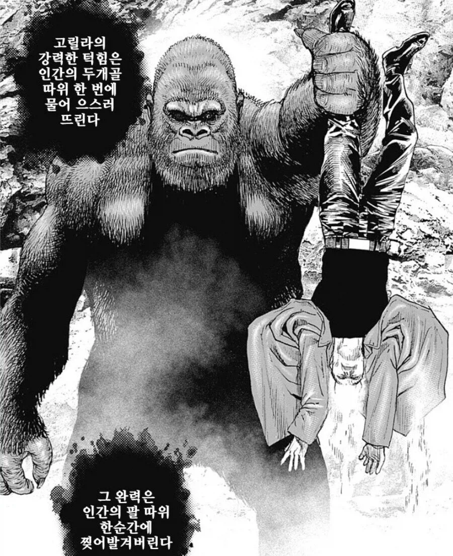 한마 유지로와 비교도 안되는 씹테토남 격투만화 최종보스_8.webp