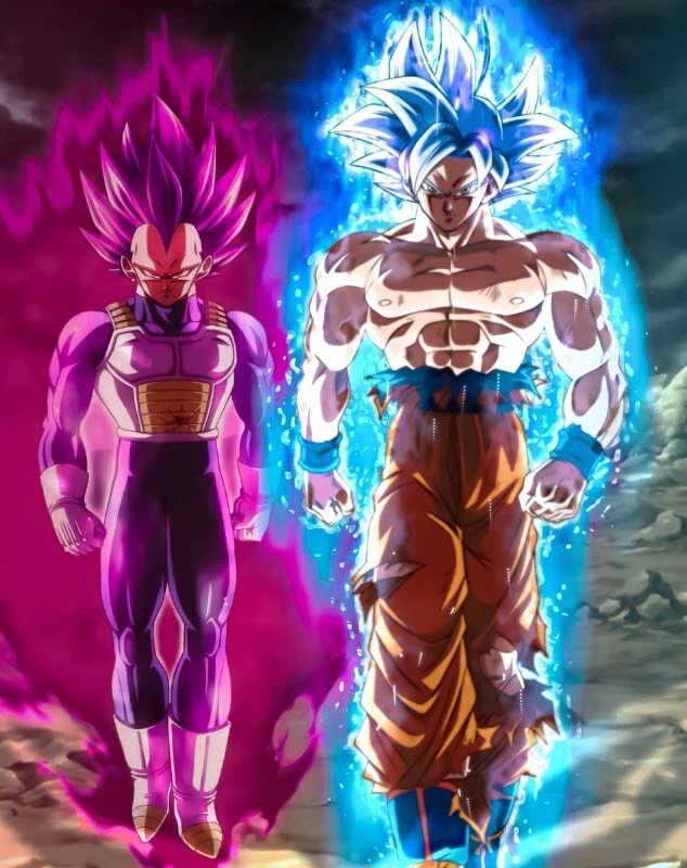 드래곤볼) 극의를 보다보면_1.webp