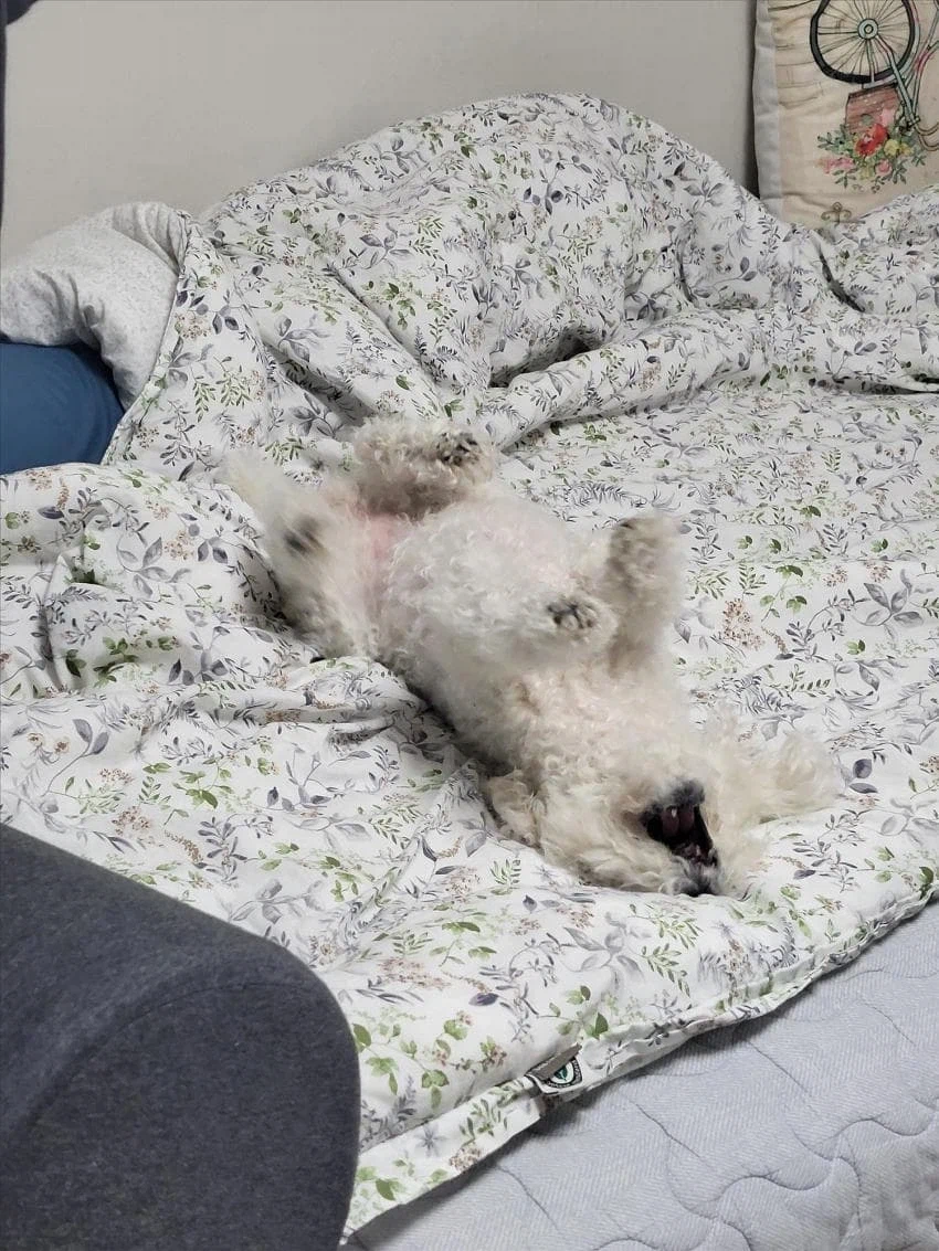 트릭컬)버터야 발닦자 .manhwa_4.webp