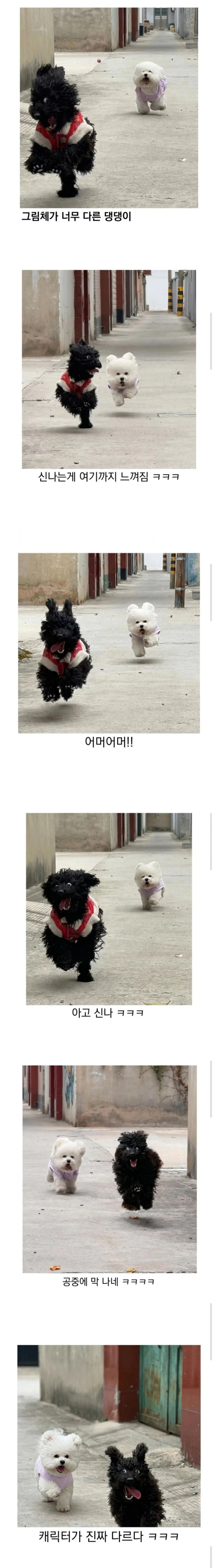 만화 캐릭터 같은 강아지_1.webp