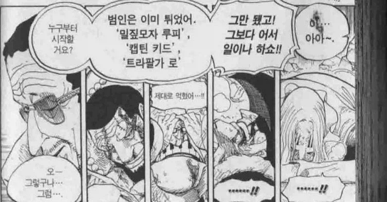 원피스) 원피스 SWORD 이야기 나올때마다 웃기는 점_10.webp