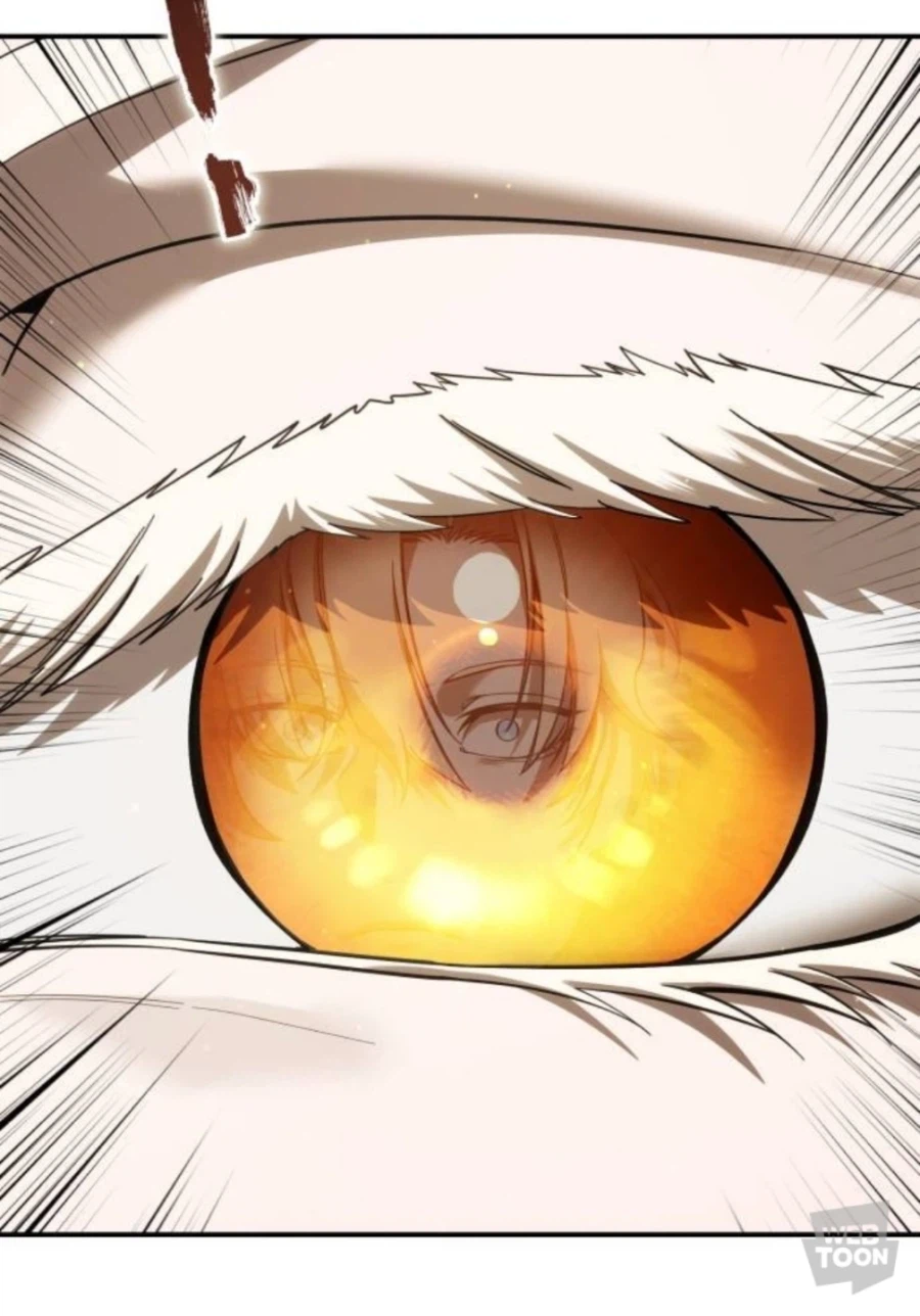 역시 전통(?) 엘프는 이래야..._1.webp