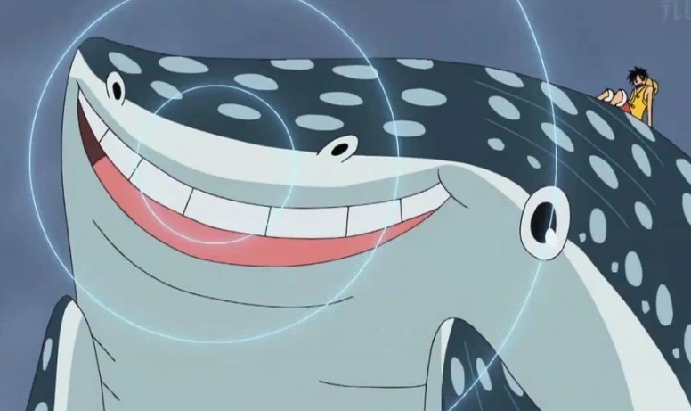 원피스) 루피:음..미호크처럼 강하면서 아론 같은 어인족 어디 없을려나..?_5.webp