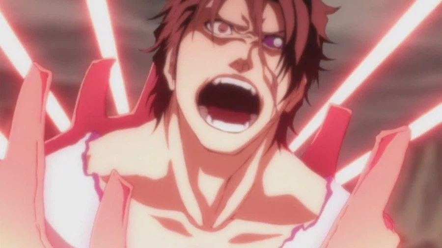 블리치)취급이 안좋지만 없으면 안됨._1.webp