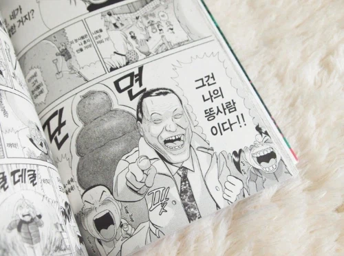 원피스)사용자를 잘못만나서 저평가되는 열매_4.webp