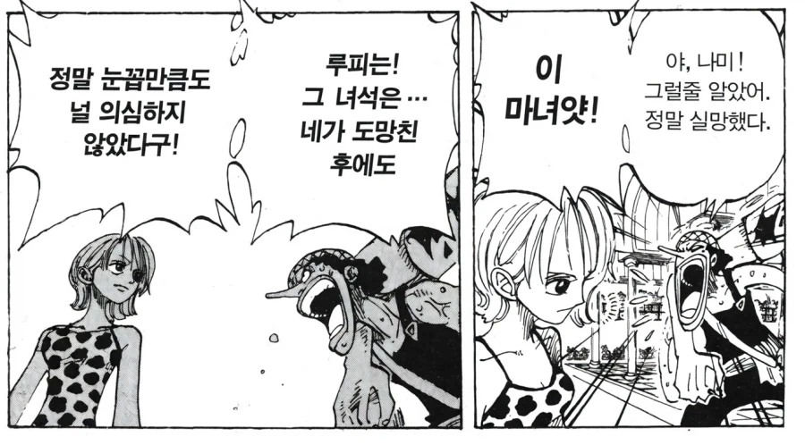 원피스) 나미의 풍차문신이 갖는 의미_8.webp
