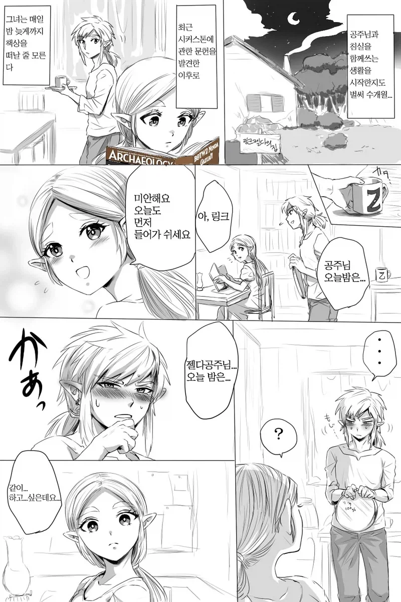 하이랄 왕가의 대를 잇는 만화_1.webp