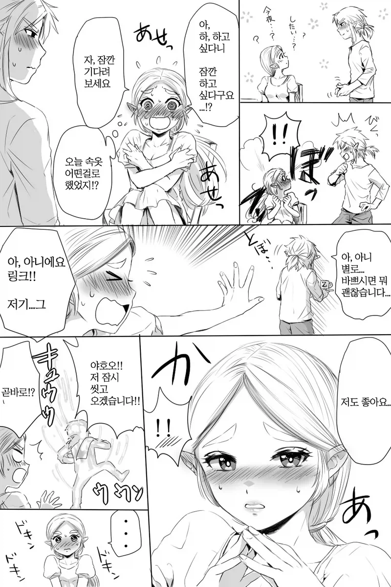 하이랄 왕가의 대를 잇는 만화_2.webp