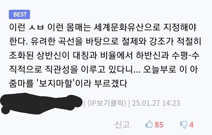 미시를 향한 디시놈들의 천박한 댓글들_4.webp