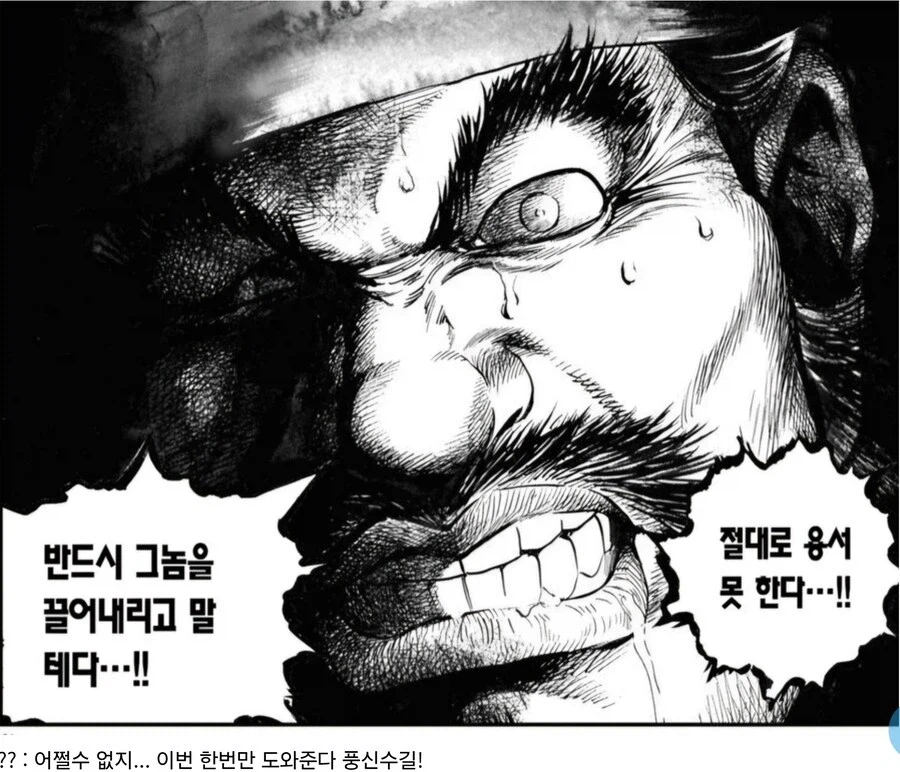 임진왜란 조선장군을 돼지로 그렸는데 극찬을 받은 일본만화_2.webp