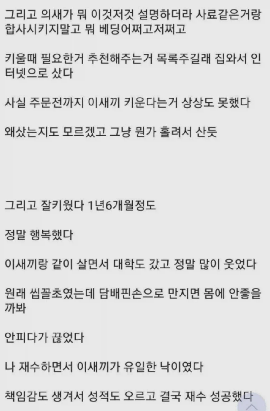 천국에 간 햄스터 .manwha_13.webp