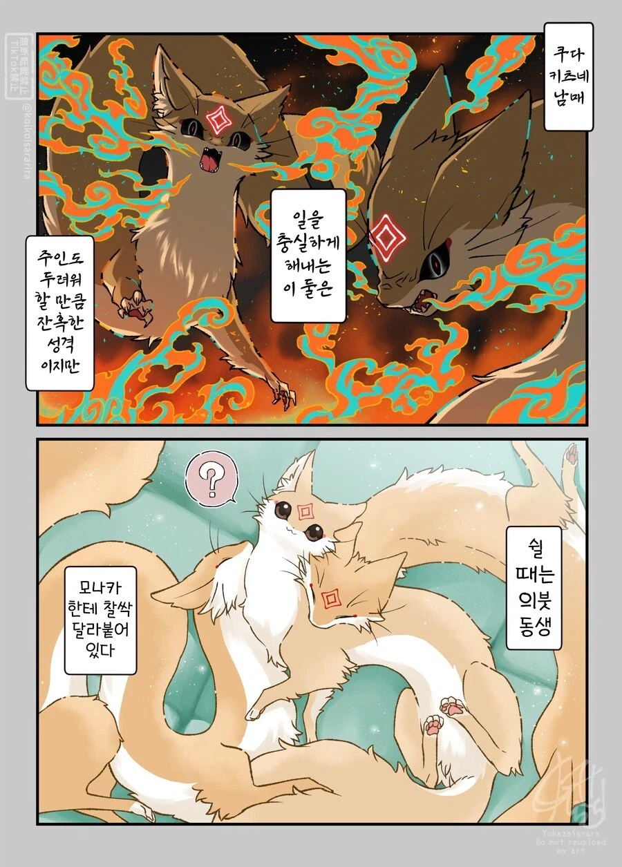 사이가 나쁜 쿠다키츠네(대롱 여우) 남매.manhwa_1.webp
