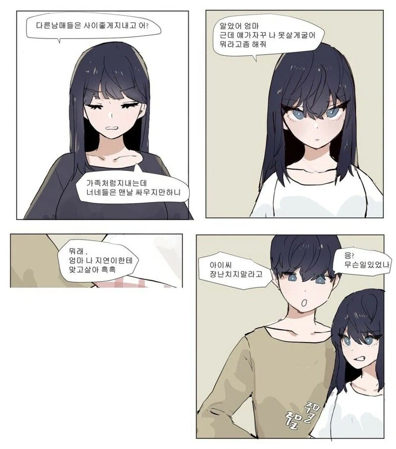 티격태격대는 현실적인 남매 만화_3.webp