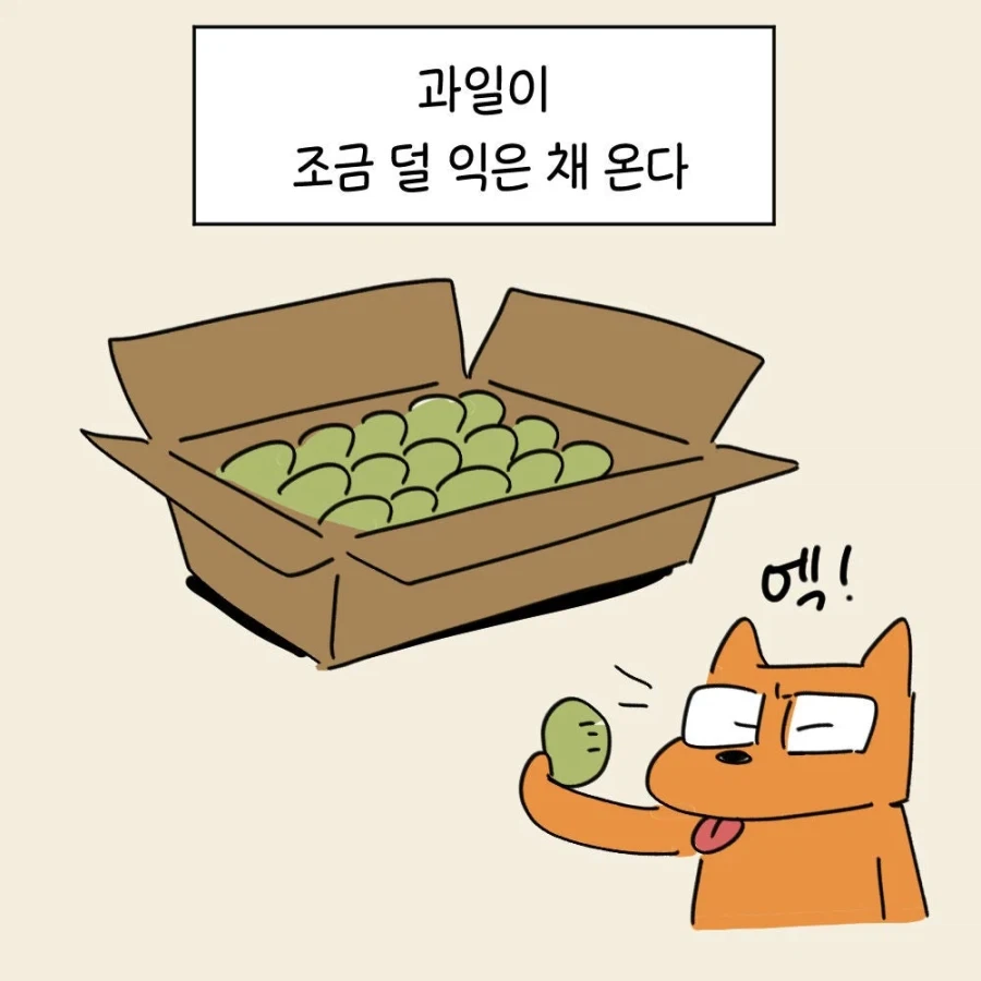 윈도우도 후숙이 필요합니다 .manwha_2.webp