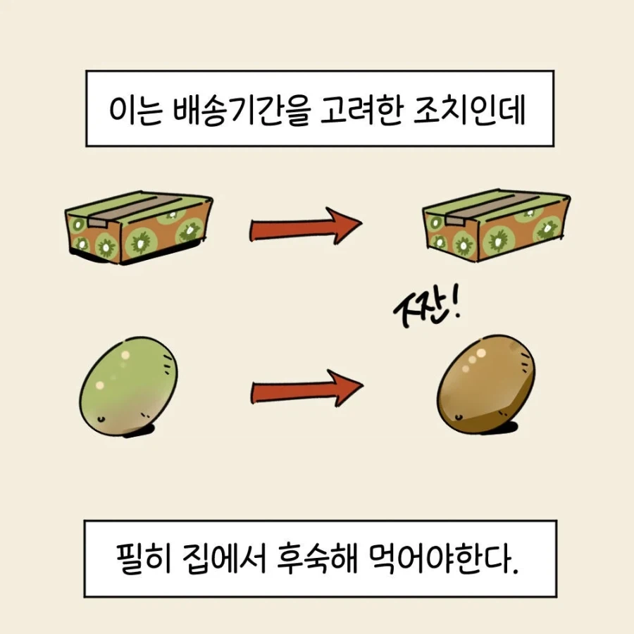 윈도우도 후숙이 필요합니다 .manwha_3.webp