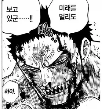 원피스)드라마 특징_4.webp