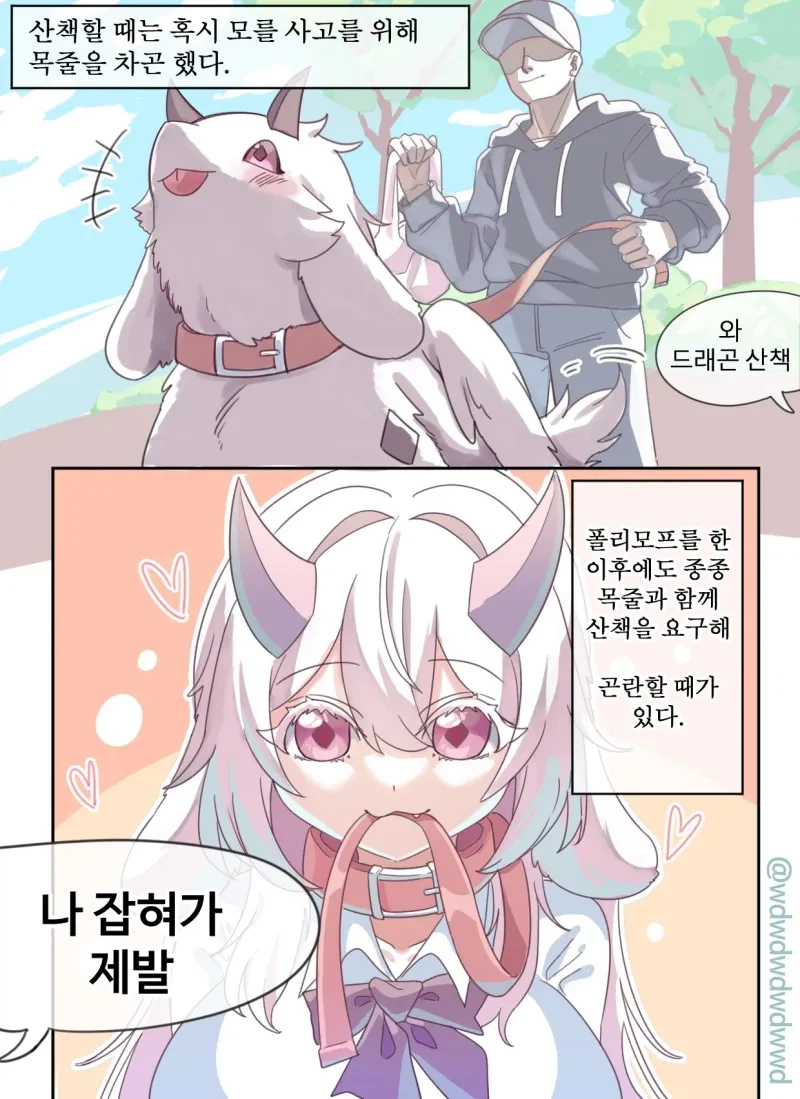 드래곤 주워다 기르는 만화.JPG_6.webp