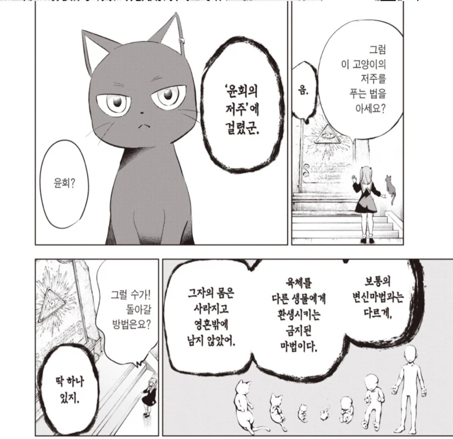 여자애가 뽀뽀로 고양이에게 걸린 저주를 풀어주는 만화_1.webp