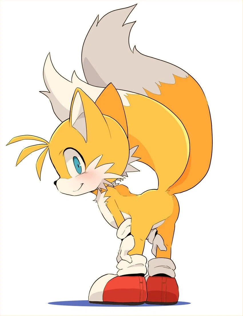 소닉) 테일즈 3장_2.webp