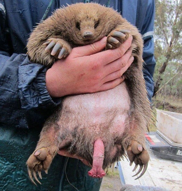 알바가 손님들 자지 확인하는 만화.manhwa_2.webp