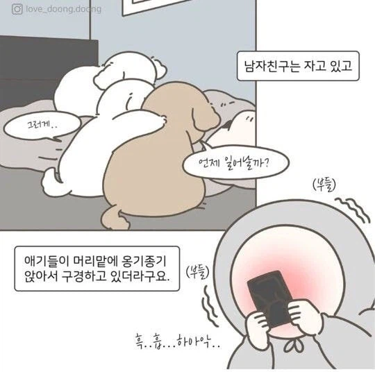 주인 일어나기만 기다리는 강아지 만화.jpg_5.webp