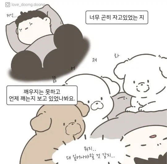 주인 일어나기만 기다리는 강아지 만화.jpg_6.webp