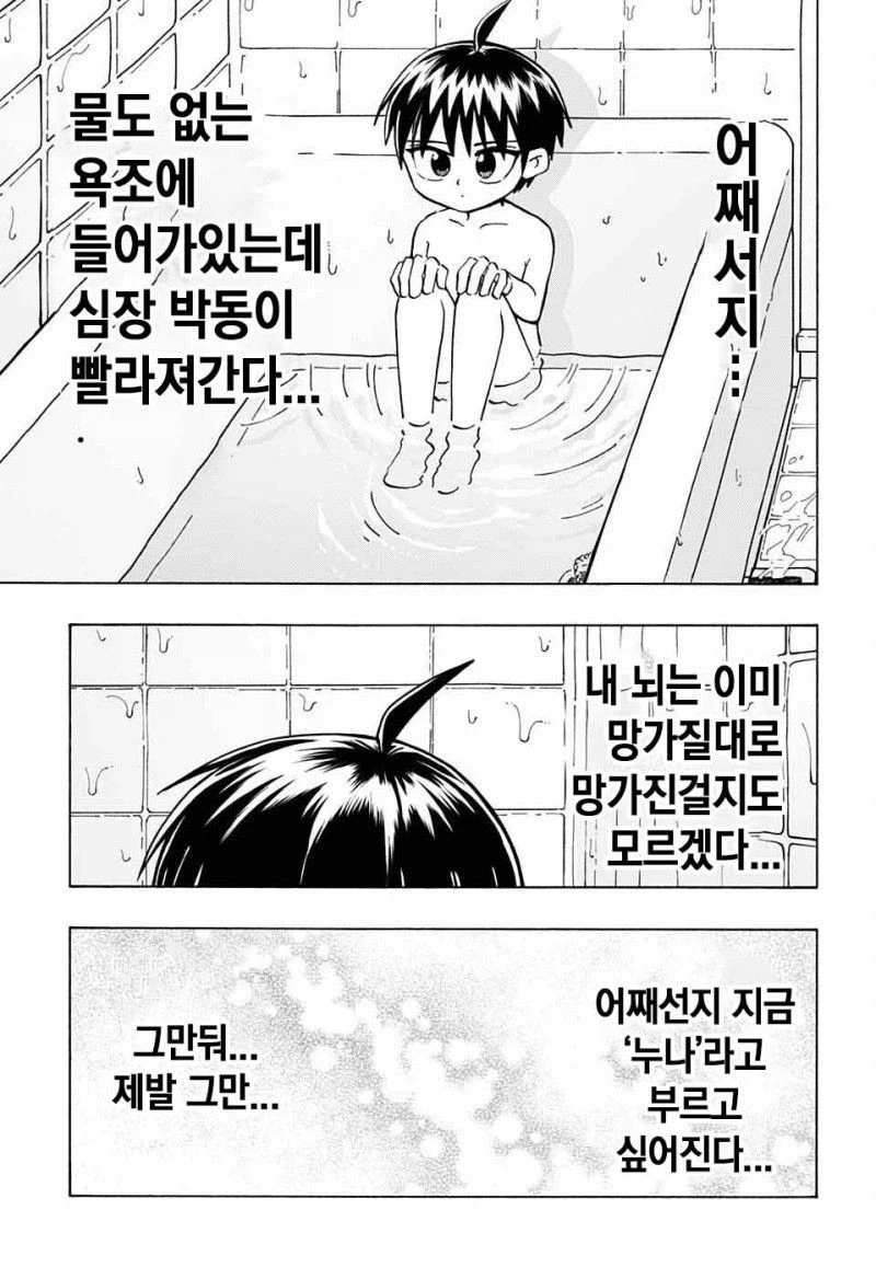 엄청 큰 누나가 생긴 만화_23.webp