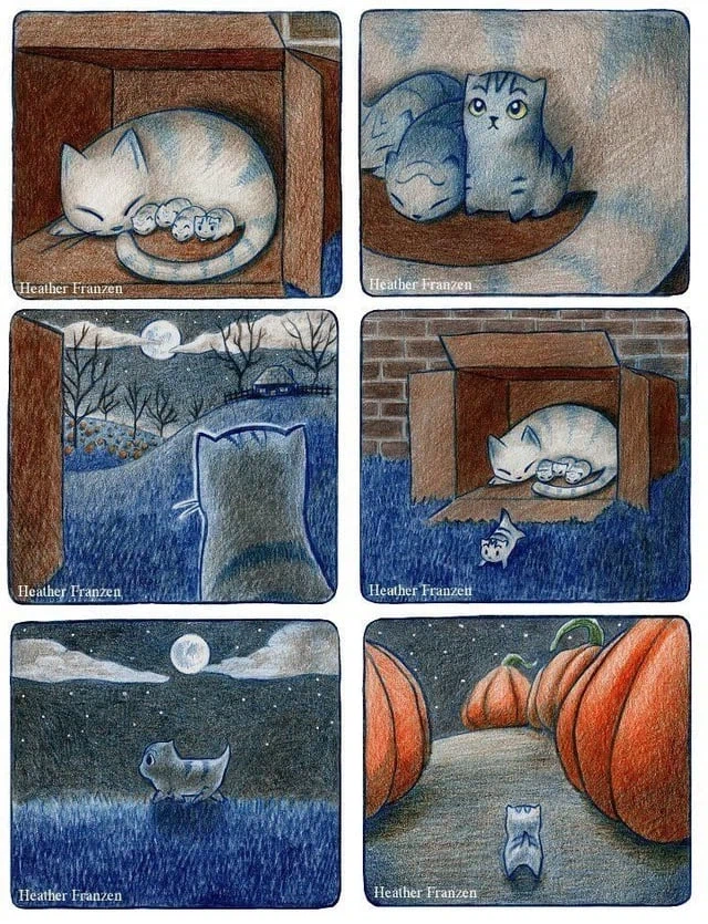 겁쟁이 애기 고우앵이 만와_1.webp