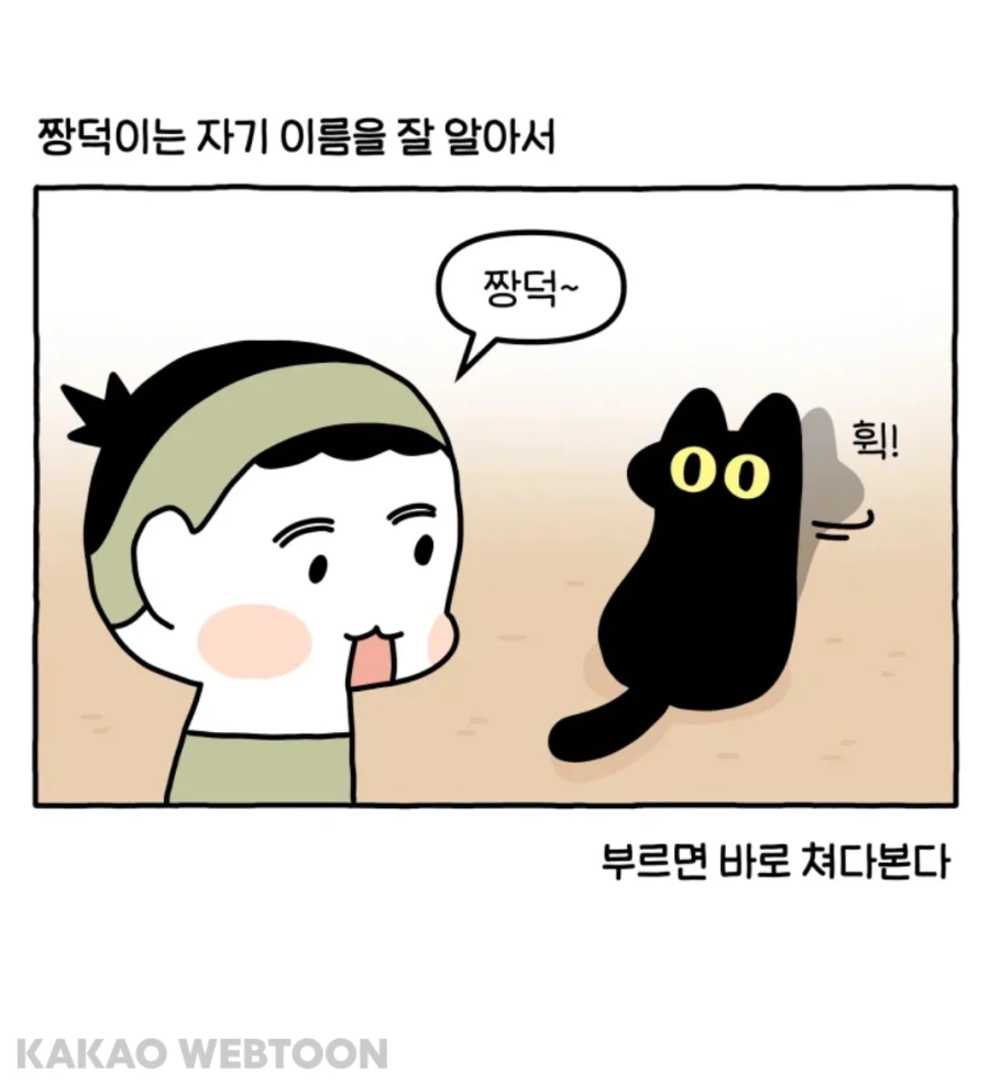 어느 쪽으로 돌아볼지 고민하는 고양이 manhwa_1.webp