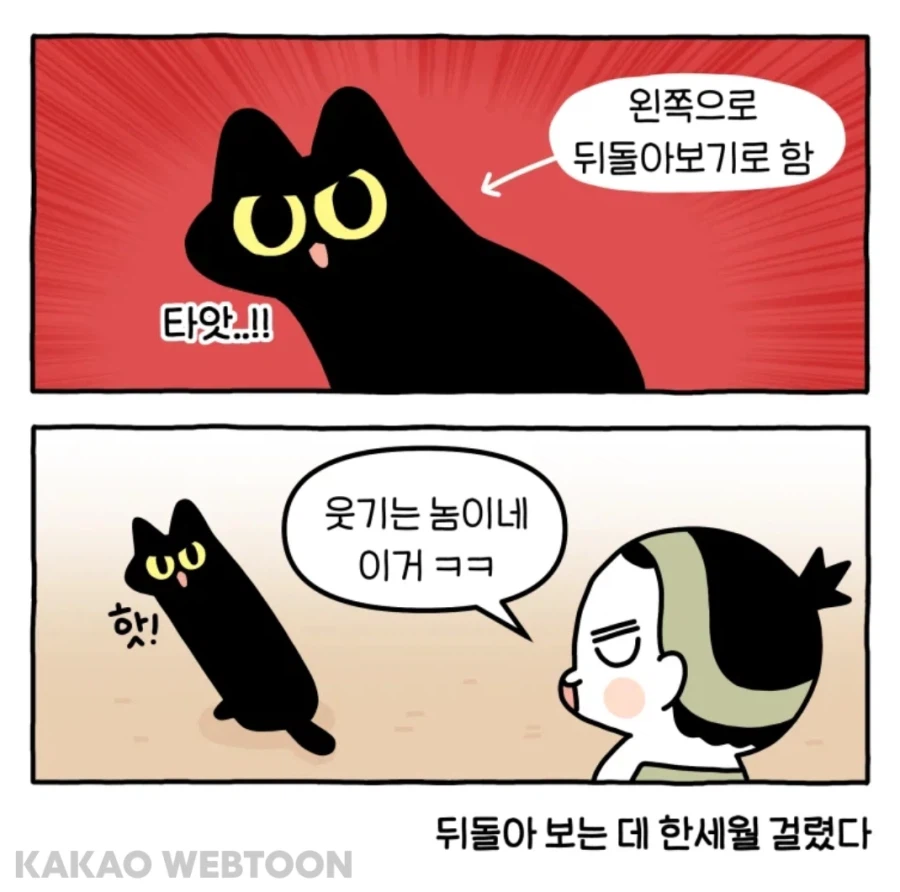 어느 쪽으로 돌아볼지 고민하는 고양이 manhwa_6.webp