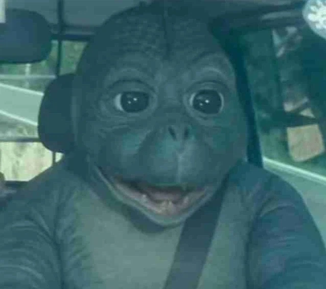 고지라)쇼와 시절 미니라는_11.webp