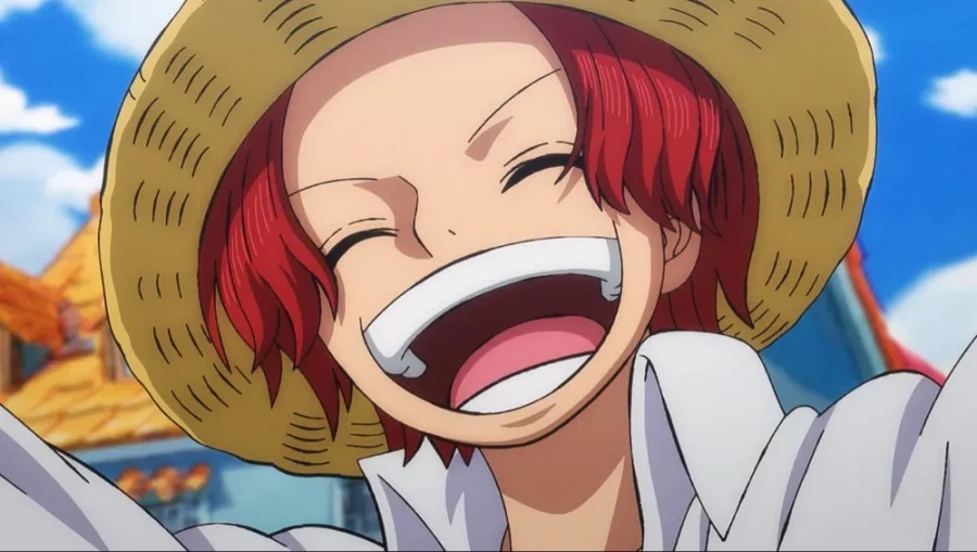 원피스) 설정오류인데 일단 말은 되는 장면_6.webp