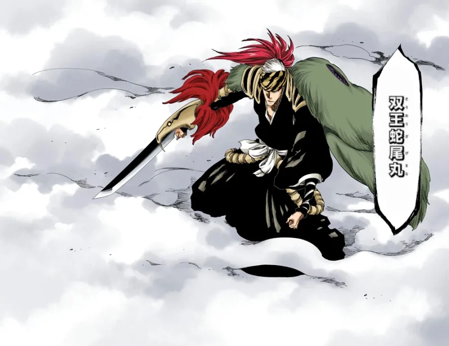 블리치)의외로 정사로 인정받은 애니 오리지널_3.webp