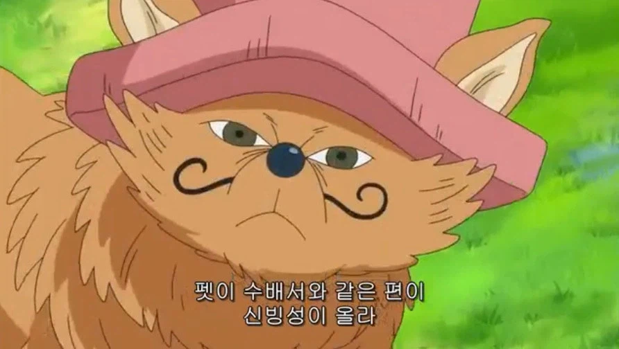 원피스) 가짜 루피 해적단 특_2.webp