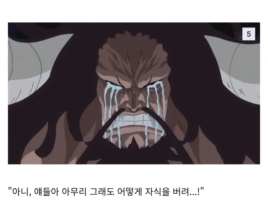 원피스) 프랑키 관련 가장 설득력 있는 가설_2.webp