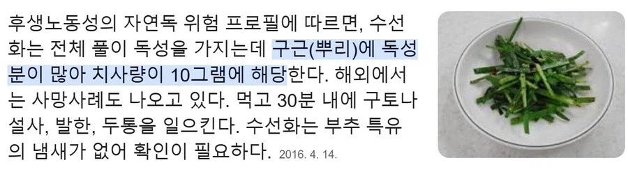 약사의혼잣말) 마오마오가 수선화에 환장하는 이유_3.webp