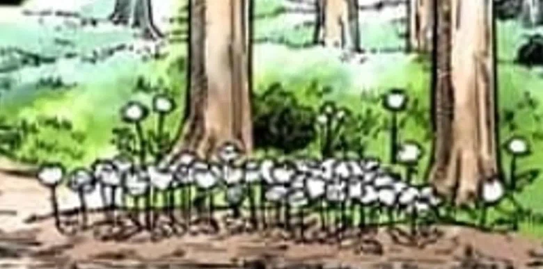 처음엔 맘에 안들었는데 다른 만화 때문에 생각이 바뀐 결말_1.webp