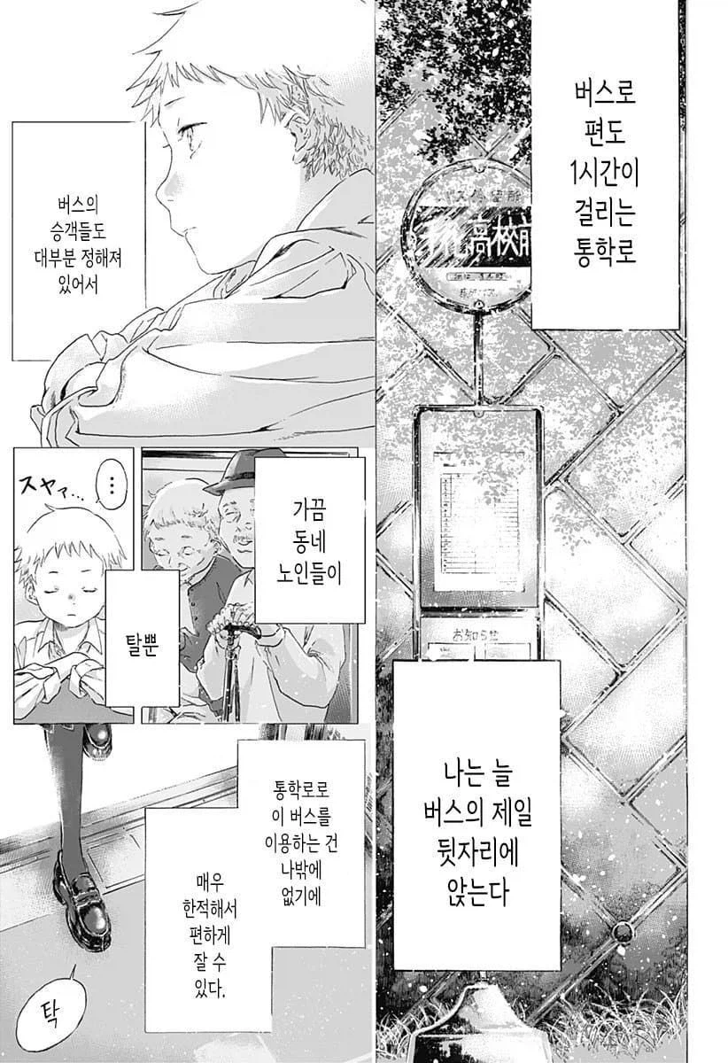 기억상실 순애.manhwa_5.webp