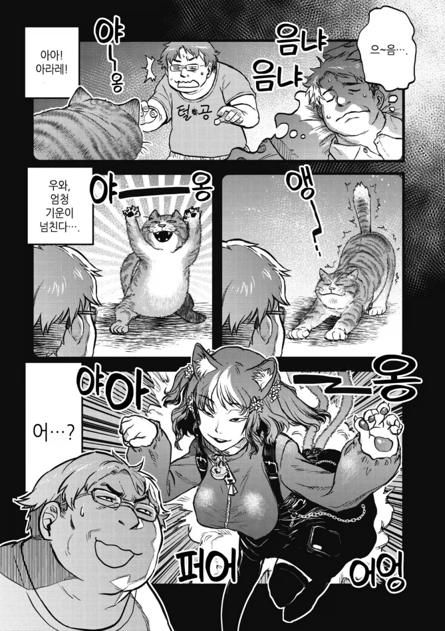 고양이가 힘내서 건강해지는 경우_1.webp