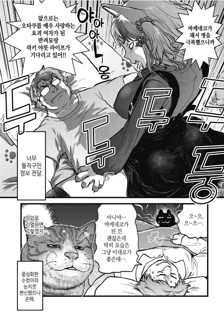 고양이가 힘내서 건강해지는 경우_2.webp