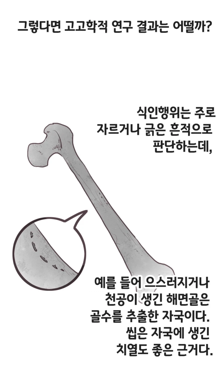 아즈텍 식인관련 만화의 정보들 더 가져와봄_13.webp