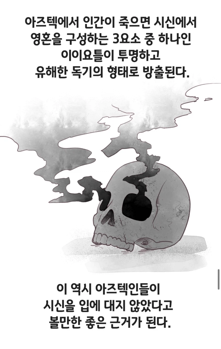 아즈텍 식인관련 만화의 정보들 더 가져와봄_12.webp