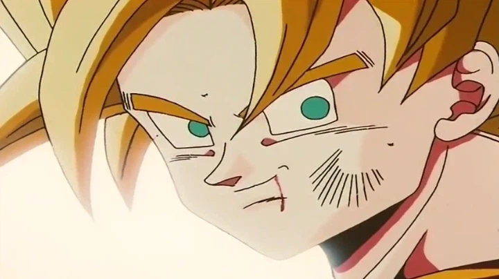 드래곤볼) 희생과 유언_3.webp