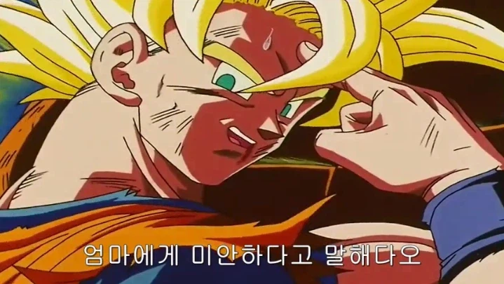 드래곤볼) 희생과 유언_11.webp