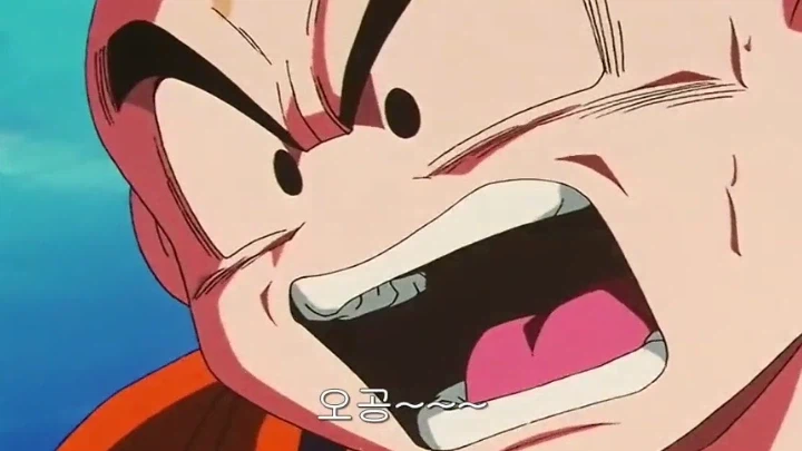 드래곤볼) 희생과 유언_15.webp