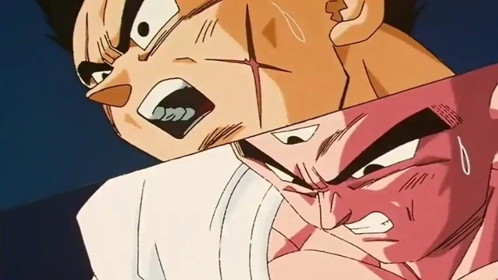 드래곤볼) 희생과 유언_17.webp