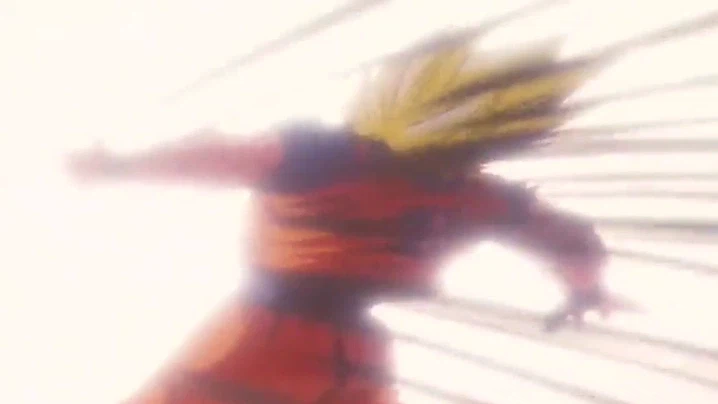 드래곤볼) 희생과 유언_20.webp