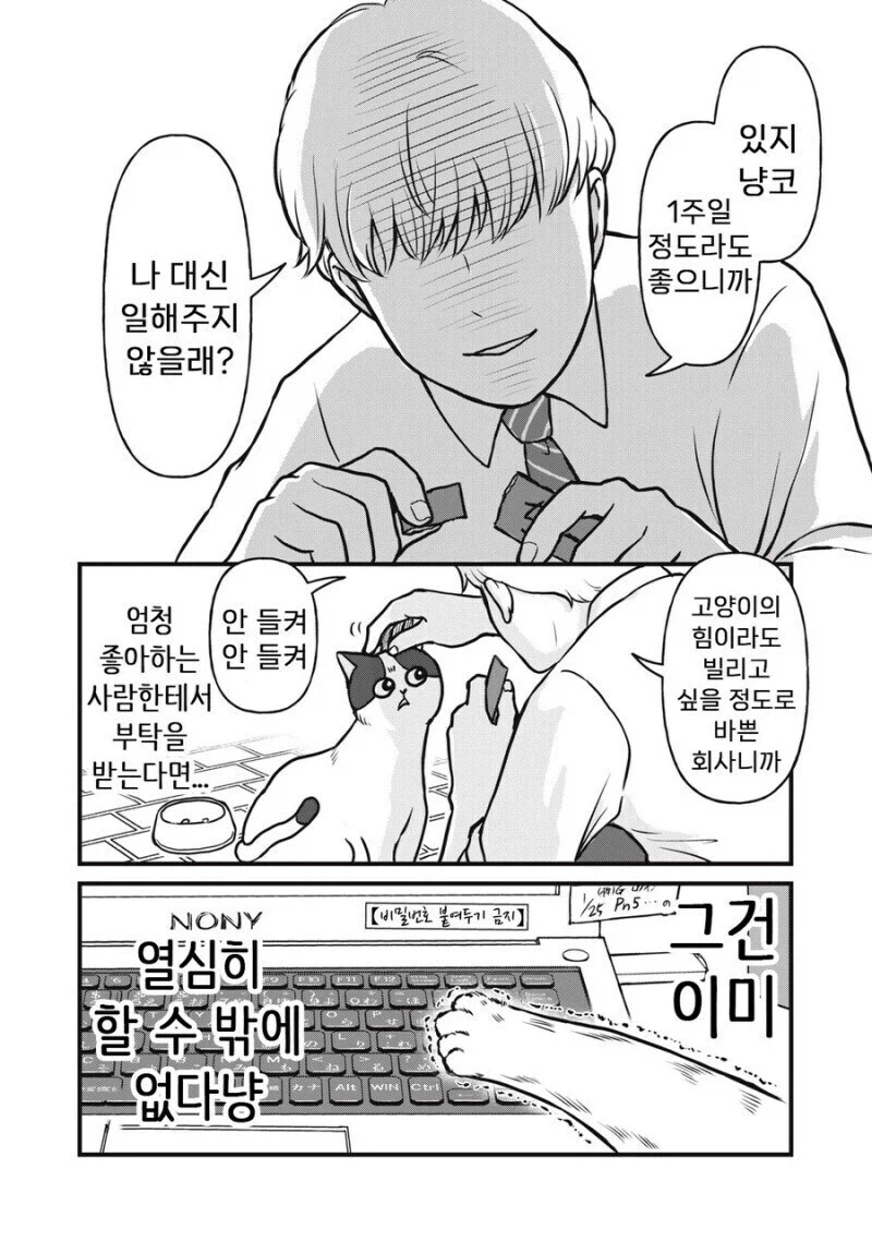주인 대신 일하는 고양이 만화.manhwa_2.webp